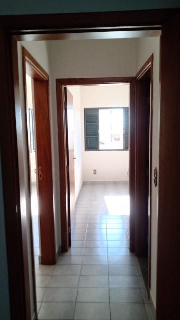 imagem 3 - Apartamento - Padrão imagem 3 - Apartamento - Padrão