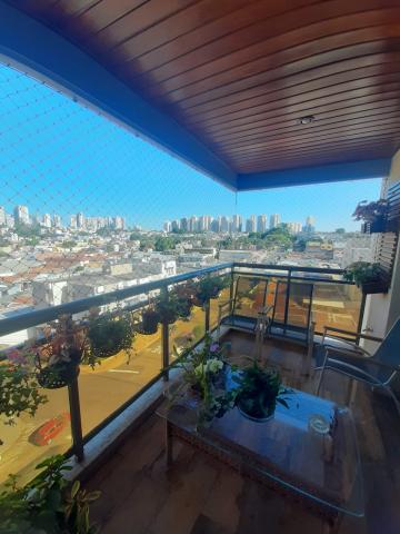 imagem 5 - Apartamento - Padrão imagem 5 - Apartamento - Padrão