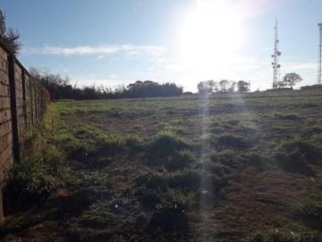 Alugar Terreno / Terreno em Ribeirão Preto. apenas R$ 1.400.000,00