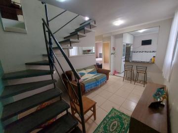 Alugar Apartamento / Duplex em Ribeirão Preto. apenas R$ 250.000,00