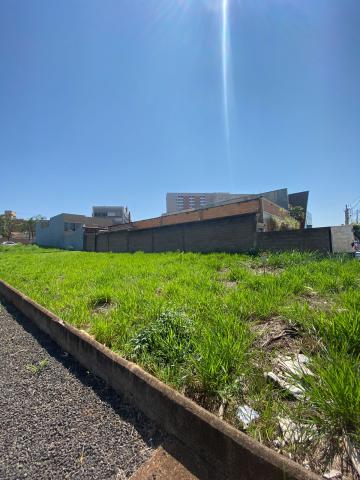 imagem 1 - Terreno Misto no Bairro Nova Ribeirânia, Zona Leste, Ribeirão Preto/SP. imagem 1 - Terreno Misto no Bairro Nova Ribeirânia, Zona Leste, Ribeirão Preto/SP.