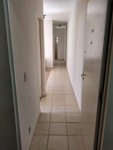 imagem 1 - Apartamento - Padrão imagem 1 - Apartamento - Padrão
