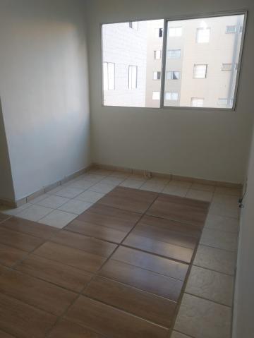 imagem 3 - Apartamento - Padrão imagem 3 - Apartamento - Padrão