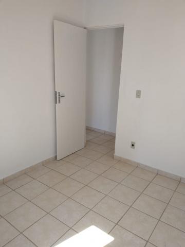 imagem 4 - Apartamento - Padrão imagem 4 - Apartamento - Padrão