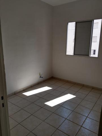 imagem 5 - Apartamento - Padrão imagem 5 - Apartamento - Padrão