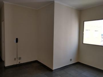 imagem 2 - Apartamento - Padrão imagem 2 - Apartamento - Padrão