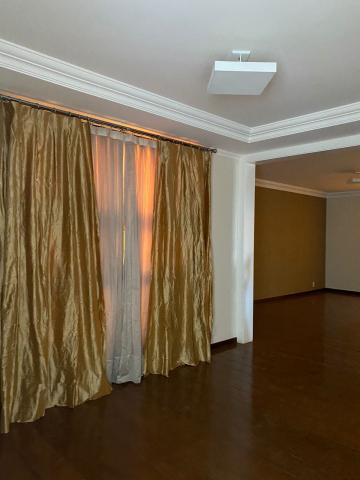 imagem 4 - Apartamento - Padrão imagem 4 - Apartamento - Padrão