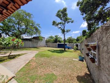 Ribeirão Preto - Jardim Salgado Filho - Rural - Chácara - Locaçao