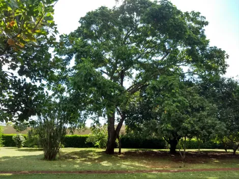 Alugar Terreno / Área em Ribeirão Preto. apenas R$ 1.575.000,00