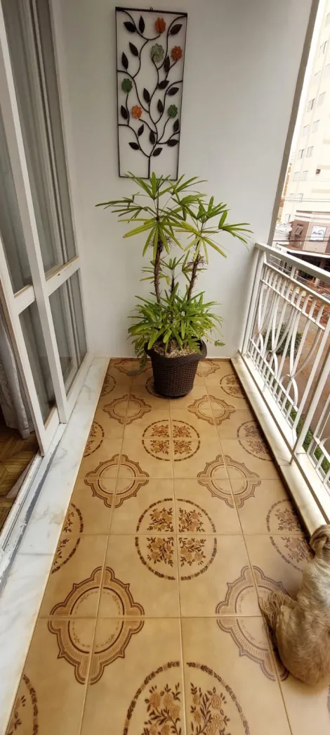 imagem 5 - Apartamento - Padrão imagem 5 - Apartamento - Padrão
