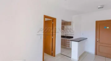 Apartamento padrão, Bairro Jardim Palma Travassos, (Zona Leste), Ribeirão Preto/SP: