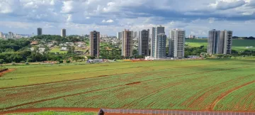 Apartamento Padrão, Bairro Olhos D´Água, (Zona Sul), em Ribeirão Preto/SP;