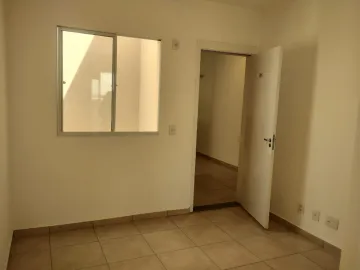 Apartamento padrão, Jardim Diva Tarlá de Carvalho, Zona Norte, Ribeirão Preto Sp.