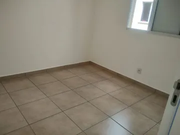 imagem 5 - Apartamento padrão, Jardim Diva Tarlá de Carvalho, Zona Norte, Ribeirão Preto Sp. imagem 5 - Apartamento padrão, Jardim Diva Tarlá de Carvalho, Zona Norte, Ribeirão Preto Sp.