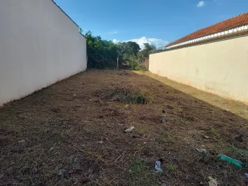 Terreno  - Jardim Jose Figueira - Zona Leste - Ribeirão Preto