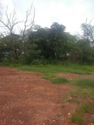 imagem 3 - Terreno / Área, Jardim Itau,  Parque Residencial Cida, Zona Norte, Ribeirão Preto Sp. imagem 3 - Terreno / Área, Jardim Itau,  Parque Residencial Cida, Zona Norte, Ribeirão Preto Sp.