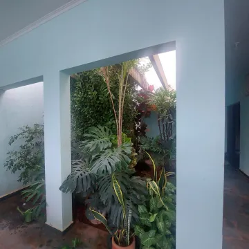 imagem 3 - Casa térrea padrão, Bairro Lagoinha (Zona Leste), Ribeirão Preto Sp. imagem 3 - Casa térrea padrão, Bairro Lagoinha (Zona Leste), Ribeirão Preto Sp.