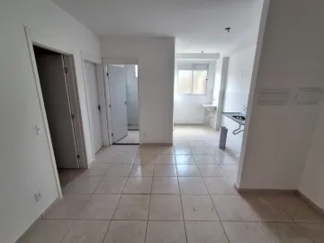 Apartamento padrão, Jardim Emilia, (Zona Sul), Ribeirão Preto SP.