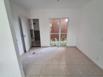 Apartamento padrão, Jardim Emilia, (Zona Sul), Ribeirão Preto SP.