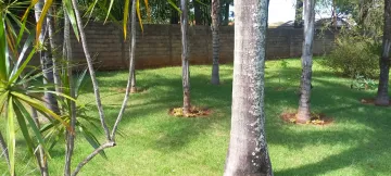 imagem 4 - Chácara residencial/comercial, Bairro Jardim Vilico Cantarelli, (Zona Leste), em Ribeirão Preto SP. imagem 4 - Chácara residencial/comercial, Bairro Jardim Vilico Cantarelli, (Zona Leste), em Ribeirão Preto SP.