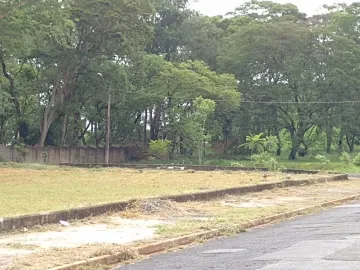 Terreno de esquina, Jardim Palmares, (Zona Leste), Ribeirão Preto SP.