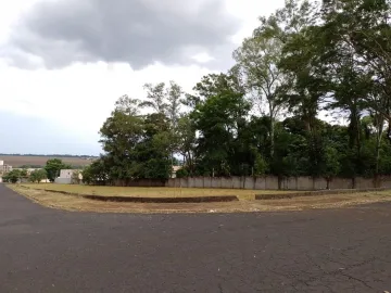 Terreno de esquina, Jardim Palmares, (Zona Leste), Ribeirão Preto SP.