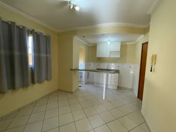 Apartamento padrão, Bairro Vila Ana Maria, (Zona Sul), Ribeirão Preto SP.