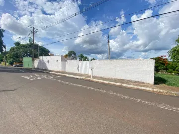 Terreno murado, Bairro Jardim Paulistano, (Zona Leste), Ribeiro Preto SP.