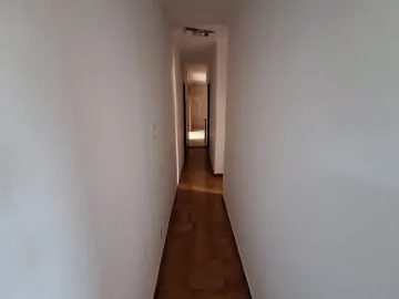 imagem 5 - Casa padrão com 169 m², Bairro Adelino Simioni, (Zona Norte), em Ribeirão Preto/SP: imagem 5 - Casa padrão com 169 m², Bairro Adelino Simioni, (Zona Norte), em Ribeirão Preto/SP: