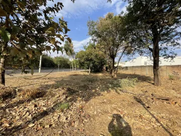 imagem 5 - Terreno/Área Mista, Bairro Jardim Califórnia, Zona Sul de Ribeirão Preto/SP. imagem 5 - Terreno/Área Mista, Bairro Jardim Califórnia, Zona Sul de Ribeirão Preto/SP.