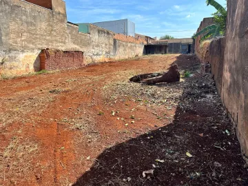 imagem 1 - Terreno, Bairro Jardim Maria Goretti, (Zona Oeste), em Ribeirão Preto/SP: imagem 1 - Terreno, Bairro Jardim Maria Goretti, (Zona Oeste), em Ribeirão Preto/SP: