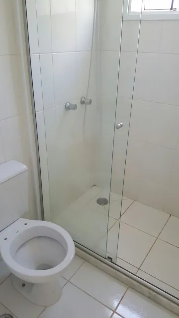 imagem 4 - Apartamento Padrão, Bairro Jardim Nova Aliança, (Zona Sul), em Ribeirão Preto/SP imagem 4 - Apartamento Padrão, Bairro Jardim Nova Aliança, (Zona Sul), em Ribeirão Preto/SP