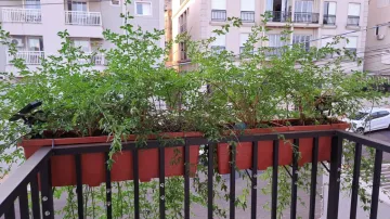 imagem 4 - Apartamento padrão com 64,87m², bairro Jardim Botânico, Zona Sul de Ribeirão Preto/SP. imagem 4 - Apartamento padrão com 64,87m², bairro Jardim Botânico, Zona Sul de Ribeirão Preto/SP.