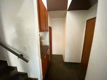 imagem 5 - Casa comercial com 617m², bairro Jardim Sumaré, Zona Sul em Ribeirão Preto/SP. imagem 5 - Casa comercial com 617m², bairro Jardim Sumaré, Zona Sul em Ribeirão Preto/SP.