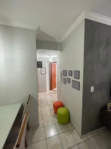 imagem 4 - Apartamento Padrão, bairro Planalto Verde, Zona Oeste em Ribeirão Preto/SP imagem 4 - Apartamento Padrão, bairro Planalto Verde, Zona Oeste em Ribeirão Preto/SP