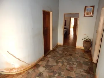 imagem 3 - Casa Térrea, bairro Campos Elíseos, Zona Leste em Ribeirão Preto/SP imagem 3 - Casa Térrea, bairro Campos Elíseos, Zona Leste em Ribeirão Preto/SP
