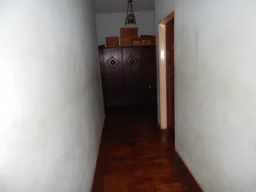imagem 4 - Casa Térrea, bairro Campos Elíseos, Zona Leste em Ribeirão Preto/SP imagem 4 - Casa Térrea, bairro Campos Elíseos, Zona Leste em Ribeirão Preto/SP