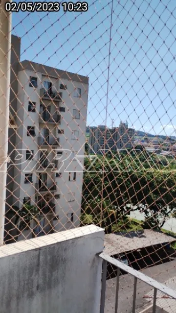 imagem 4 - Apartamento padrão, bairro Parque dos Bandeirantes, Zona Leste em Ribeirão Preto/SP; imagem 4 - Apartamento padrão, bairro Parque dos Bandeirantes, Zona Leste em Ribeirão Preto/SP;