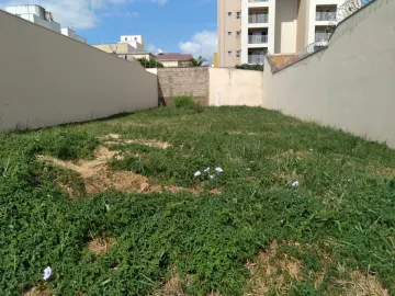 imagem 1 - Terreno com 270m², bairro Jardim Califórnia, Zona Sul de Ribeirão Preto/SP. imagem 1 - Terreno com 270m², bairro Jardim Califórnia, Zona Sul de Ribeirão Preto/SP.