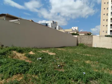 imagem 2 - Terreno com 270m², bairro Jardim Califórnia, Zona Sul de Ribeirão Preto/SP. imagem 2 - Terreno com 270m², bairro Jardim Califórnia, Zona Sul de Ribeirão Preto/SP.