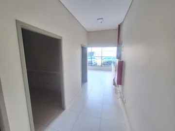 imagem 5 - Loja comercial com 50m², bairro Jardim São Luiz, Zona Sul de Ribeirão Preto/SP. imagem 5 - Loja comercial com 50m², bairro Jardim São Luiz, Zona Sul de Ribeirão Preto/SP.