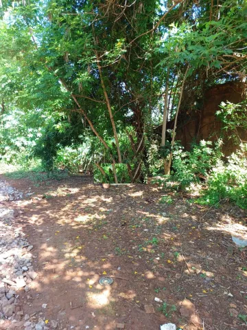 imagem 1 - Terreno a venda com 2020 metros próximo a via Norte imagem 1 - Terreno a venda com 2020 metros próximo a via Norte