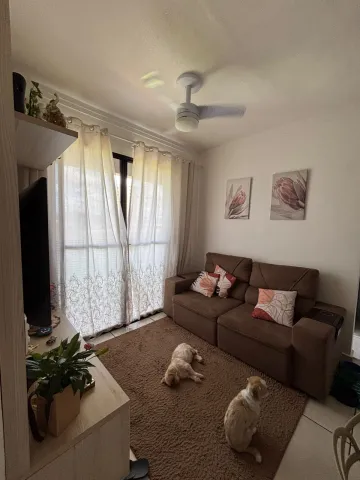 imagem 2 - Apartamento padrão, Bairro Quintas de São José, Zona Sul em Ribeirão Preto SP; imagem 2 - Apartamento padrão, Bairro Quintas de São José, Zona Sul em Ribeirão Preto SP;