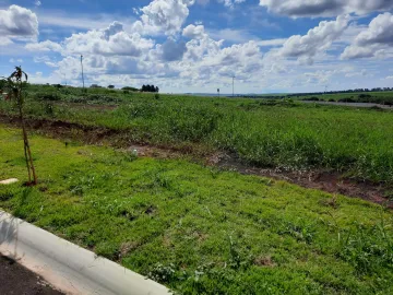 imagem 1 - Lote em condomínio fechado, Riviera Village, Cravinhos/SP. imagem 1 - Lote em condomínio fechado, Riviera Village, Cravinhos/SP.