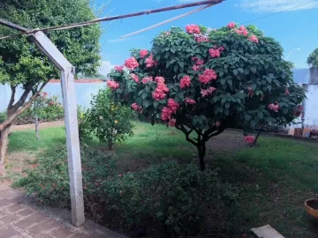 imagem 1 - Casa comercial, bairro Campos Elíseos, Zona Leste, região Faculdade Moura Lacerda, Ribeirão Preto SP imagem 1 - Casa comercial, bairro Campos Elíseos, Zona Leste, região Faculdade Moura Lacerda, Ribeirão Preto SP