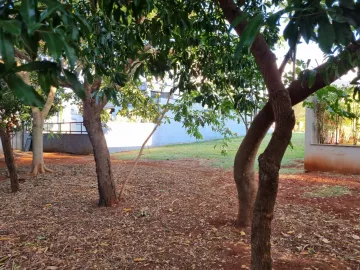 imagem 3 - Terreno em condomínio fechado com 360m², bairro Residencial Alto do Castelo, Zona Sul de Ribeirão Preto/SP. imagem 3 - Terreno em condomínio fechado com 360m², bairro Residencial Alto do Castelo, Zona Sul de Ribeirão Preto/SP.
