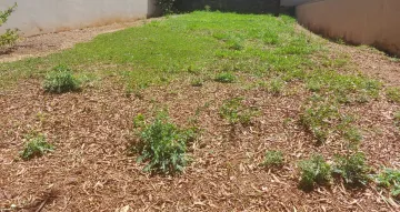 imagem 1 - Terreno em condomínio fechado com 334m², bairro Vila do Golf, Zona Sul de Ribeirão Preto/SP. imagem 1 - Terreno em condomínio fechado com 334m², bairro Vila do Golf, Zona Sul de Ribeirão Preto/SP.