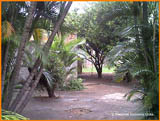 imagem 3 - Casa - Padrão imagem 3 - Casa - Padrão